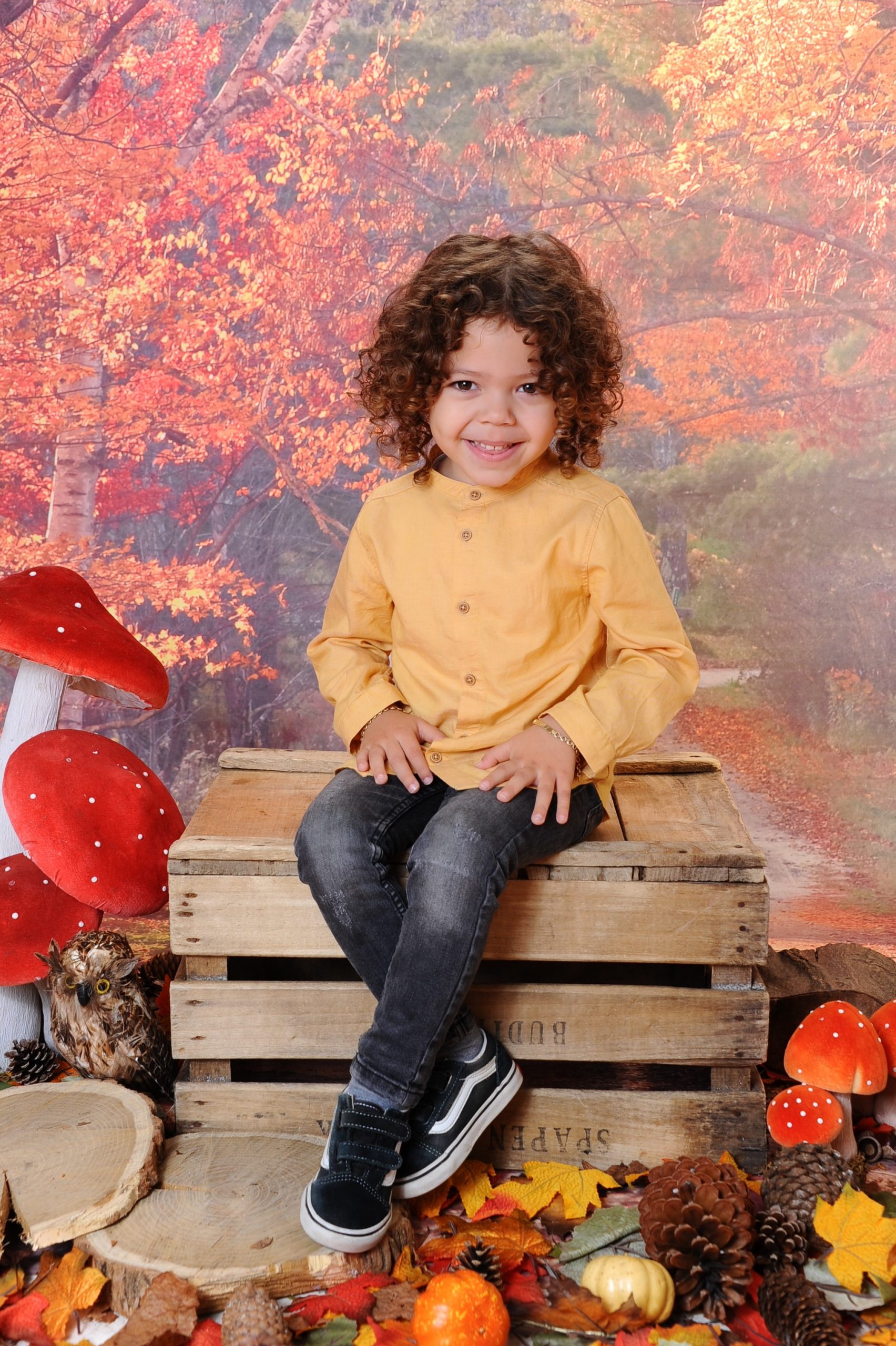 Themafotografie Hoogstraten Fotografie